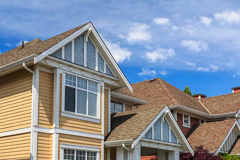 Roof Cleaning