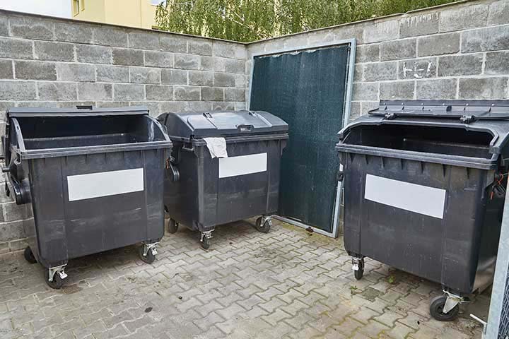 Dumpster Cleaning